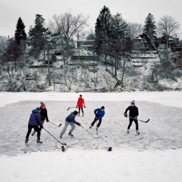 The beauty of shinny Artwork